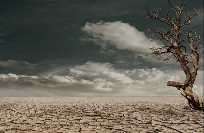 Foto de capa da notícia "Laudate Deum", o grito do Papa por uma resposta à crise climática